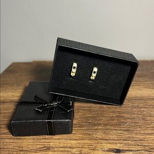 Gold Hoop Huggies Earrings with Moissanite